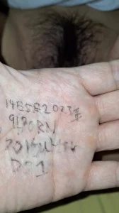 一家乱战14集全