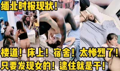 用下面简阶的】